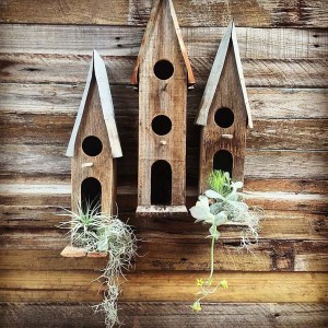 Boodle Concepts handmade birdhouses in Melbourne
