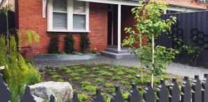 Boodle Concepts - Caulfield North landscaping