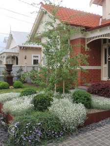 Landscaping by Boodle Concepts garden design in Moonee Ponds, Melbourne.