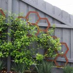 Landscaping by Boodle Concepts garden design in Moonee Ponds_Melbourne..