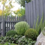Garden design by Boodle Concepts landscaping in Caulfield Melbourne