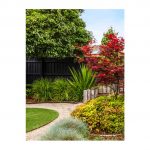 Garden by Boodle Concepts landscaping in McKinnon, Melbourne and Kyneton